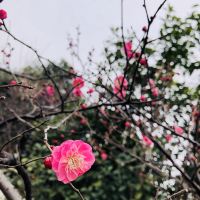 評論圖片 3
