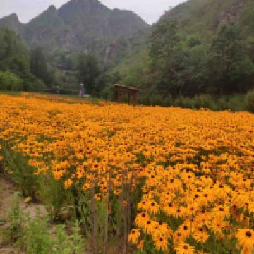 評論圖片 4