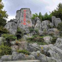 評論圖片 7