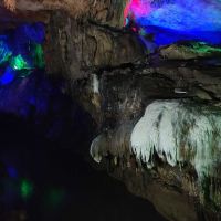 評論圖片 2