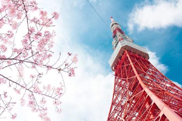 Tokyo to Osaka: How to Travel Cheap and Fast?
