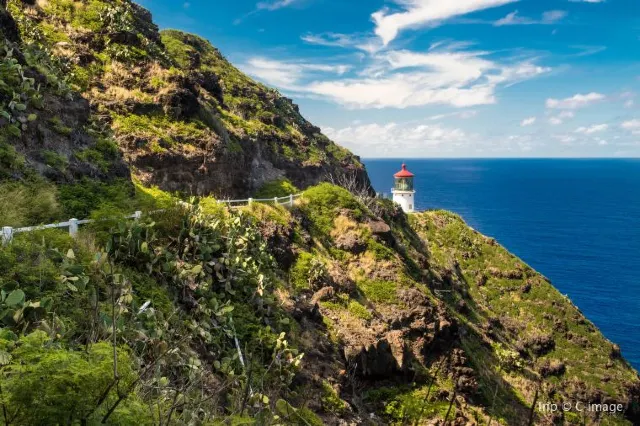 10 Best Things To Do in Honolulu