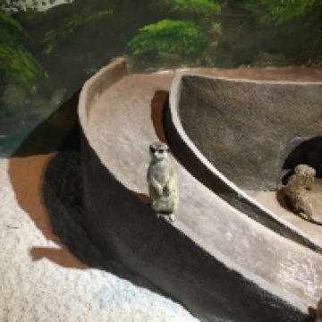 評論圖片 5