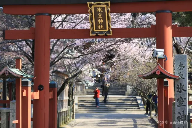 11 Traditional and Fun Things to Do in Nara