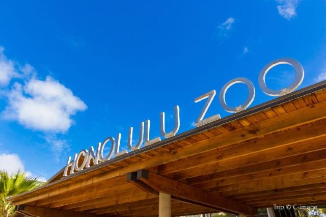 Honolulu Zoo Best Family Activity Travel Notes And Guides Trip Com Travel Guides