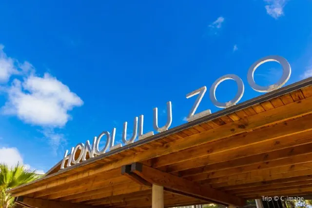 Honolulu Zoo: Best Family Activity
