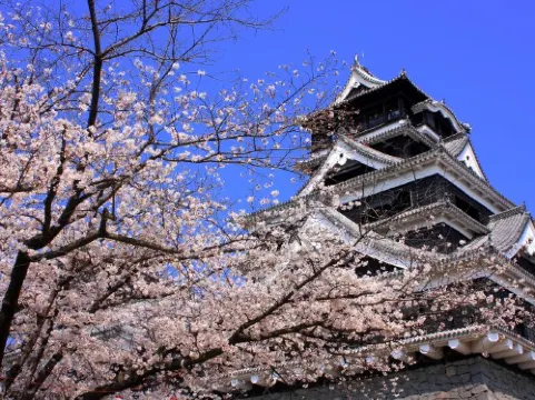 【熊本懶人包】熊本自由行必睇!景點、活動、必試美食推介!