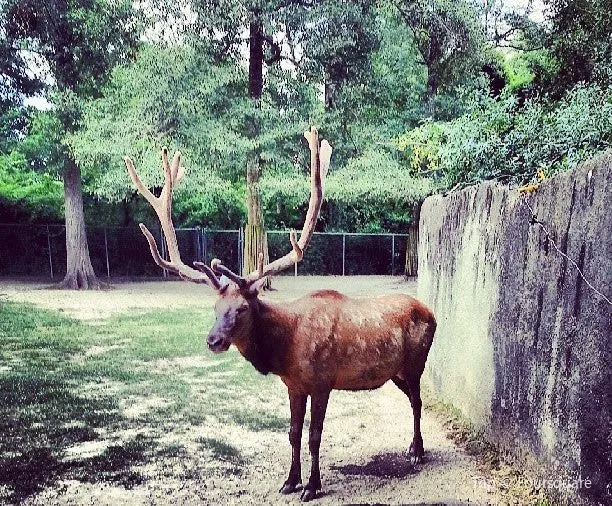 Top 12 Fun Things to do in Baton Rouge