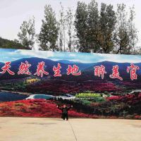 評論圖片 1