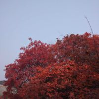 評論圖片 4