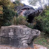 評論圖片 8