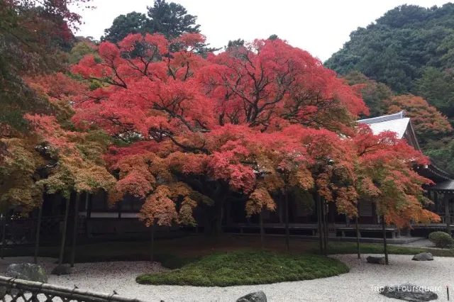 【日本紅葉2020】一葉知秋，8大福岡紅葉景點推介