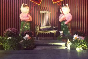 唐貓庭院·千年陝菜（大唐不夜城店）用戶圖片