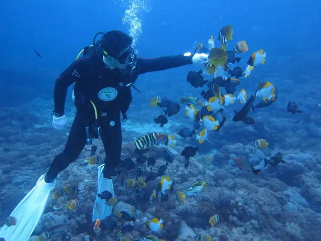 Green Island Around Taitung Is So Attractive and You Can go Snorkeling and Take A Bath in Hot Springs in The Seabed Here