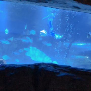 評論圖片 9