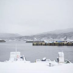 Ara Soba User Photo