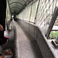 評論圖片 6