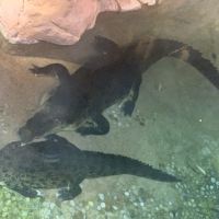 評論圖片 4