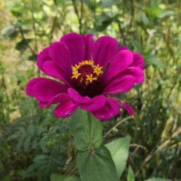 評論圖片 4