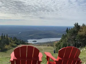 Microbrasserie La Diable