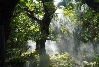 Chom Cafe and Restaurant User Photo