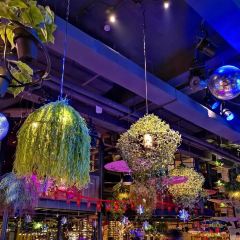 Hu Tao Li Music Bar ( Si Men Kou ) User Photo