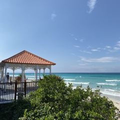 Waiahole Poi Factory User Photo