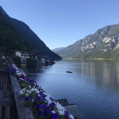 Restaurant im Seehotel Gruner Baum User Photo