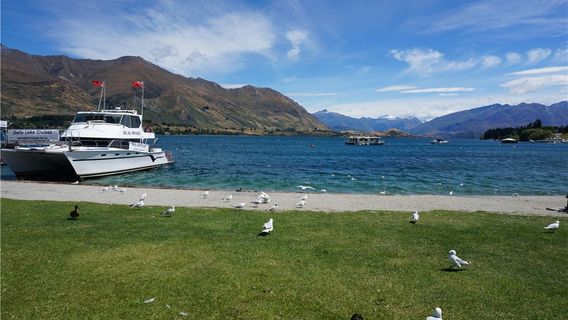 Wanaka