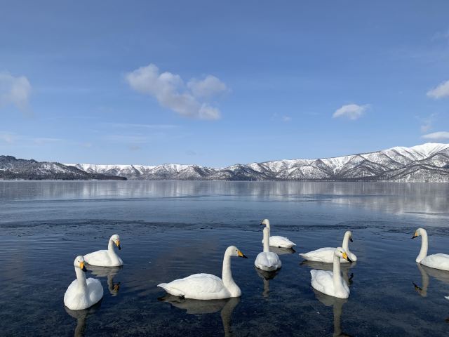 屈斜路湖砂湯