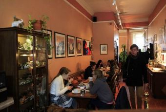 The Elephant House User Photo