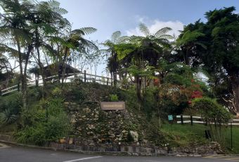 Cactus View Restaurant User Photo