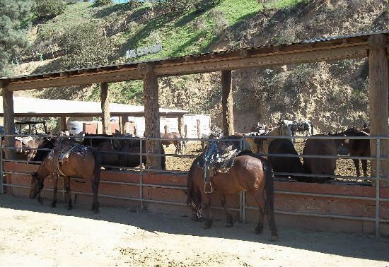 Sunset Ranch Hollywood