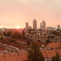 Proeflokaal Arendsnest User Photo