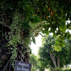 Red Steps Restaurant User Photo