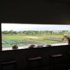 Green Field Kitchen ảnh của người dùng