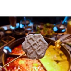 Coucouhuoguo·chaqi (laifushiguangchangzhangning) User Photo