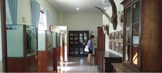 Alexandre Yersin Museum