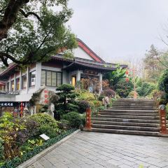 雷峰塔·藕香居餐厅 User Photo