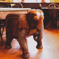 The Elephant House User Photo