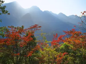 Liuxihe National Forest Park