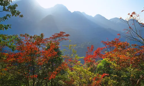 Liuxihe National Forest Park