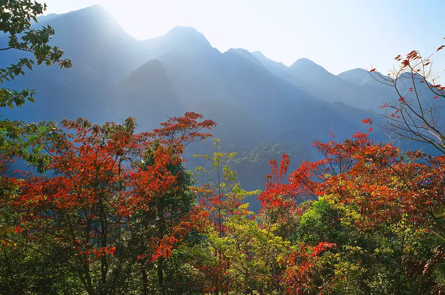 4_Liuxihe National Forest Park