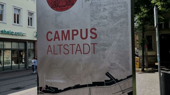 海德堡大学让我第一次感受到欧洲大学的魅力 没有围墙 你就好像