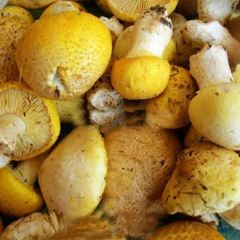 YE SHI KAO ROU WANG ảnh của người dùng