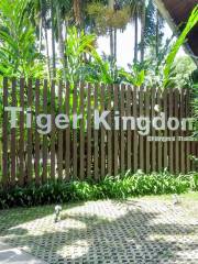 Tiger Kingdom