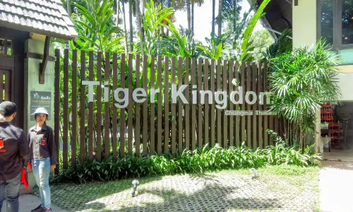 Tiger Kingdom