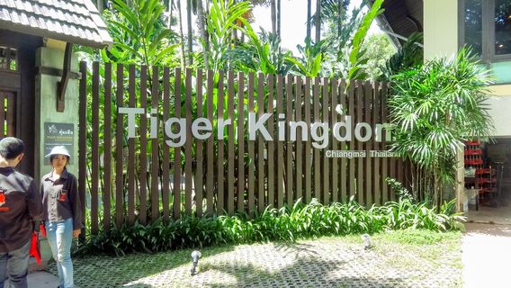 Tiger Kingdom