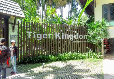 Tiger Kingdom