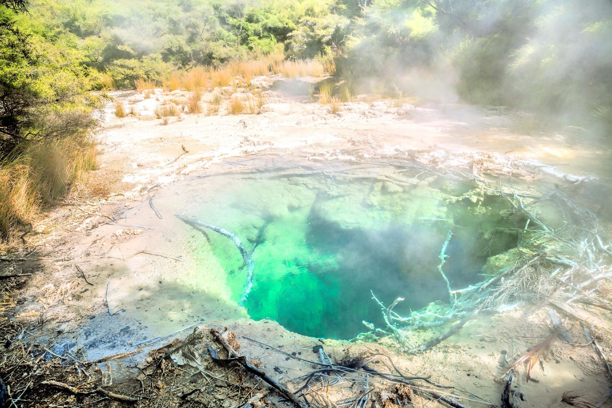 奧克蘭+懷·歐·塔普地熱仙境+愛歌頓農場一日遊【中文12h】